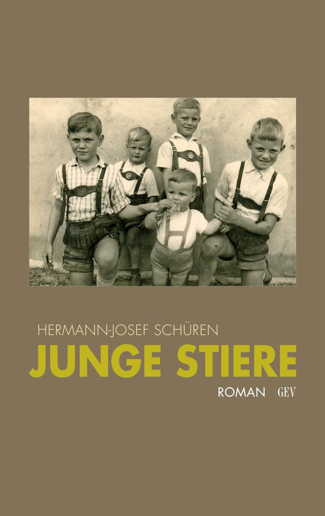 Junge Stiere Junge Stiere